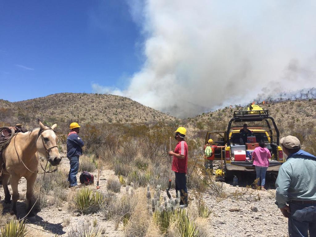 Se registra incendio forestal en Ocampo
