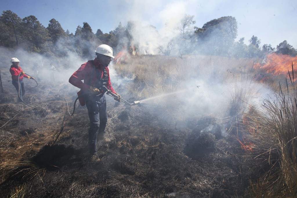 Van más de 5 mil incendios forestales en México