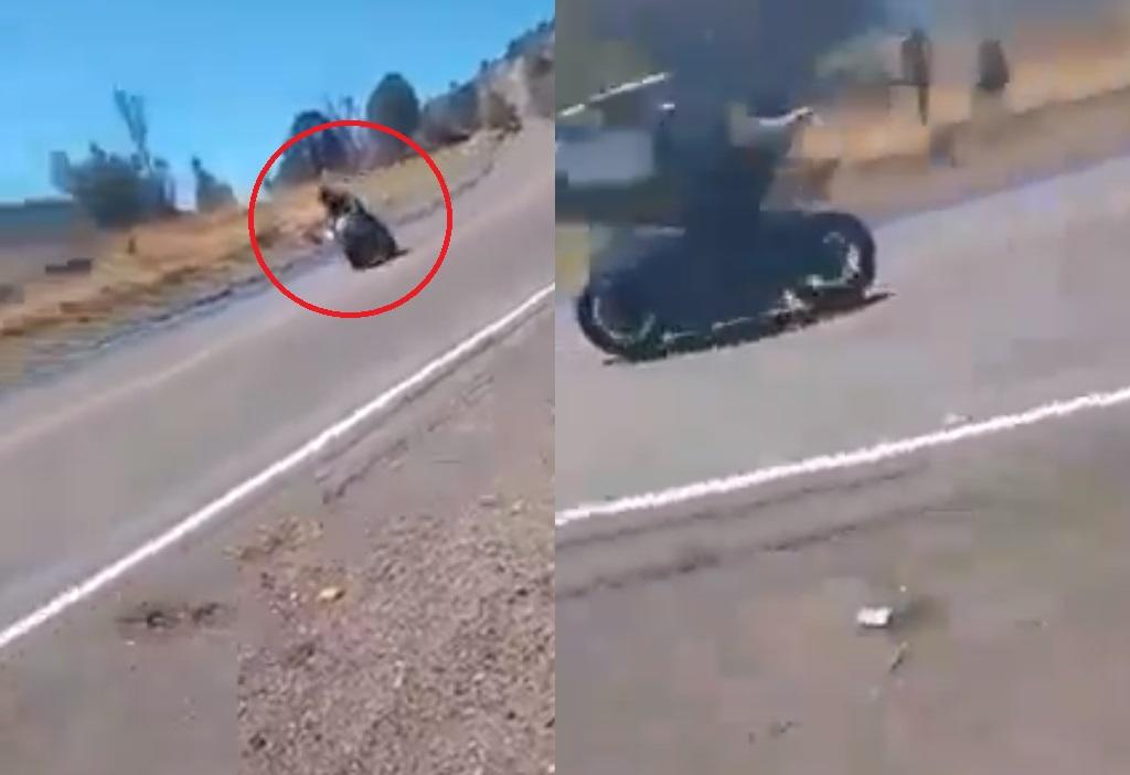 VIDEO: Motociclista fallece en la carretera libre Durango-Mazatlán