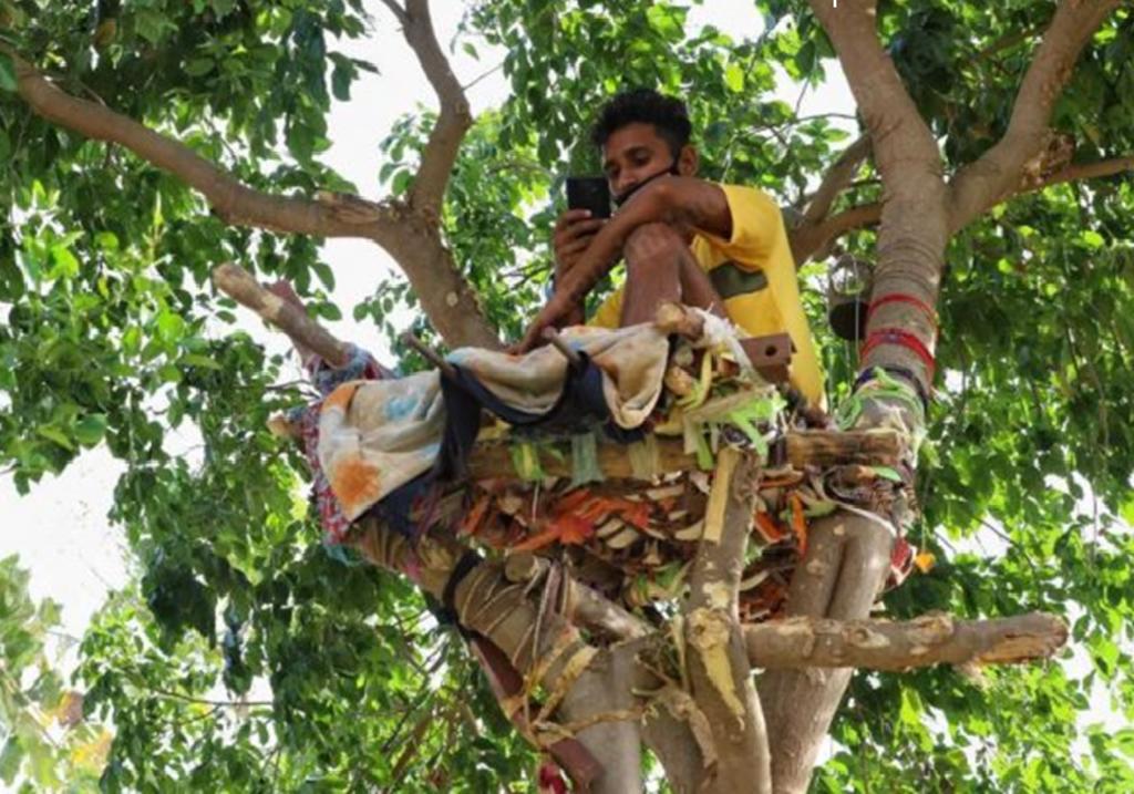 Vive 11 días en un árbol para evitar contagiar a su familia de COVID
