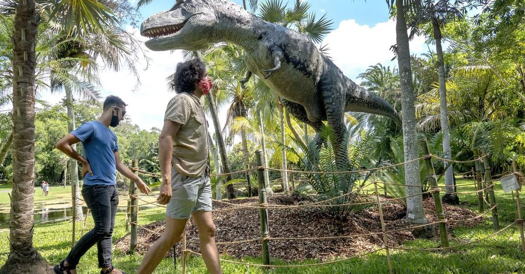 Botánico Fairchild de Miami, un jardín jurásico poblado de dinosaurios