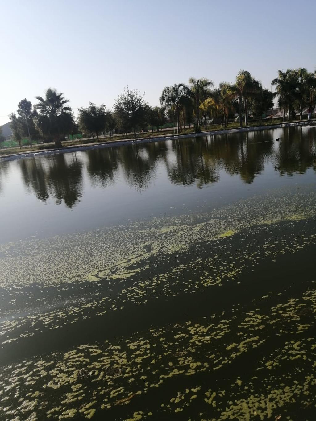 Recuperan Bosque Urbano de Torreón