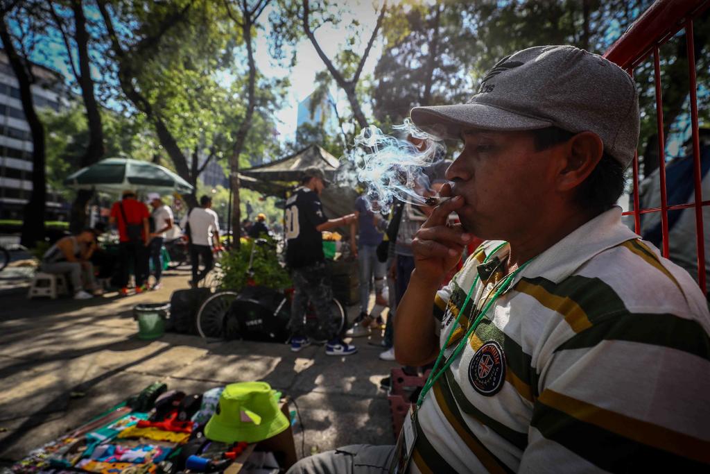 Avalará Corte cannabis ante retraso de Congreso en México