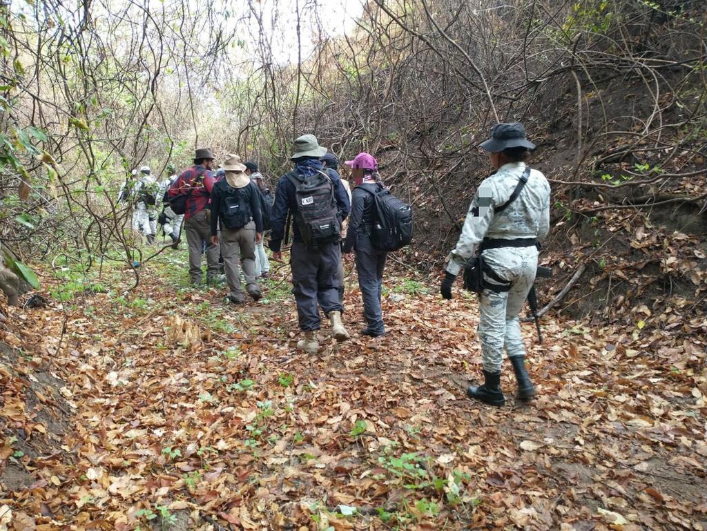 Localizan restos humanos en predio de Cuautla, Morelos