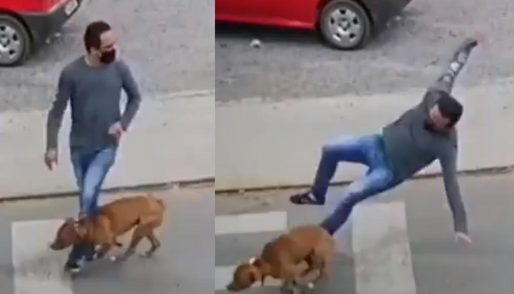 VIRAL: Perro 'atropella' a un hombre que cruzaba la calle