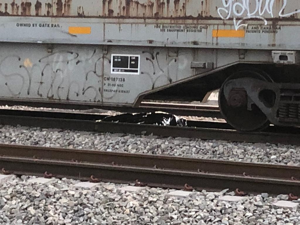 Muere arrollado por tren en Ramos Arizpe