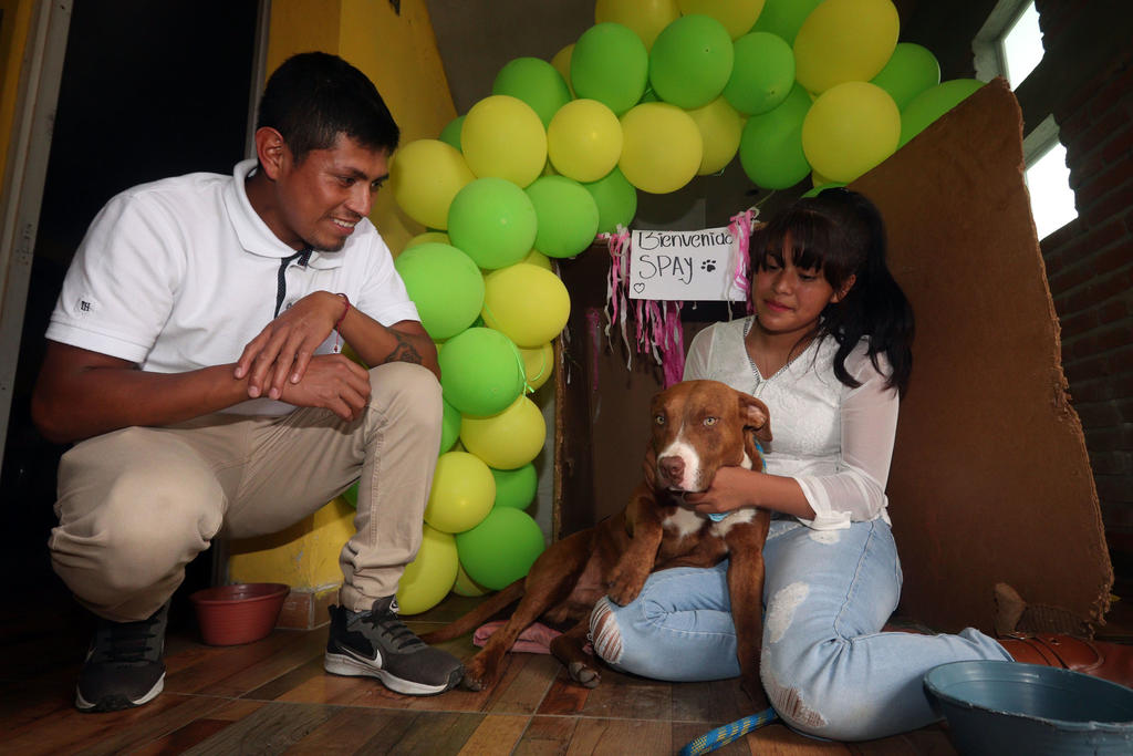 Devuelven a familia uno de los perro que cayó a socavón en Puebla