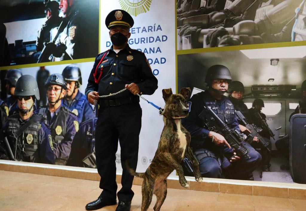 Policía de CDMX busca nombre para perrito rescatado por oficial