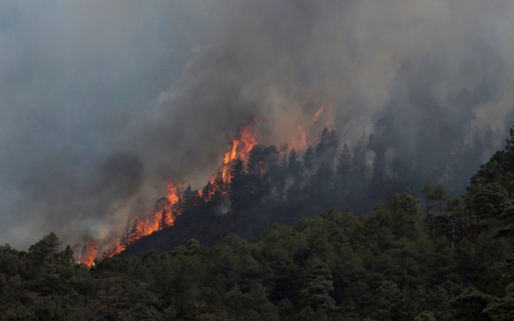 Registra Coahuila más de seis mil hectáreas siniestradas por incendios en 2021