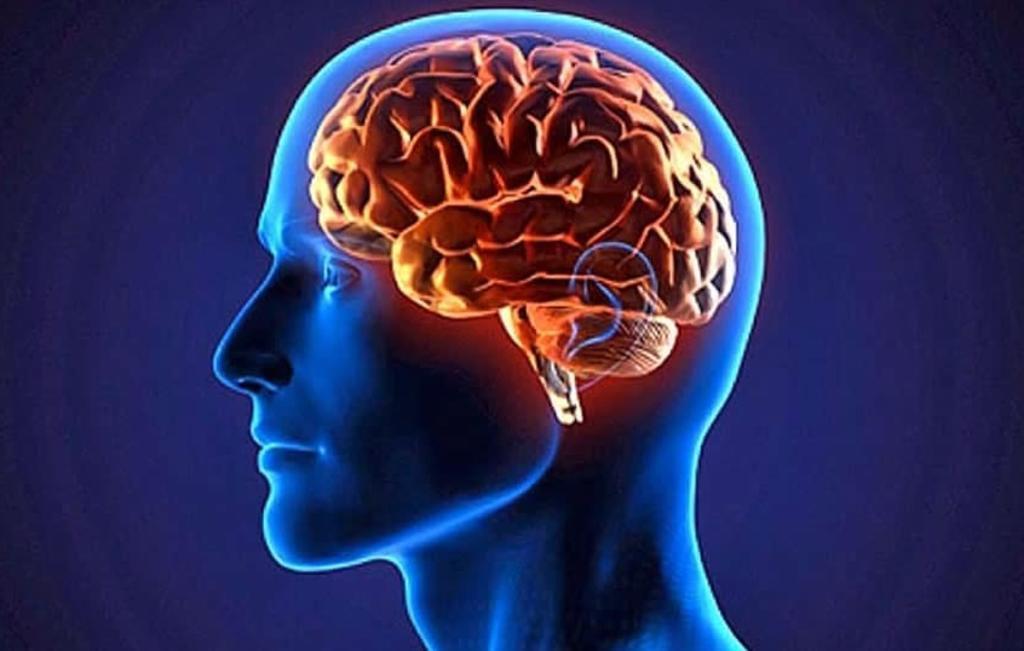 Hallan cobre y hierro elementales en cerebro de dos pacientes de alzheimer