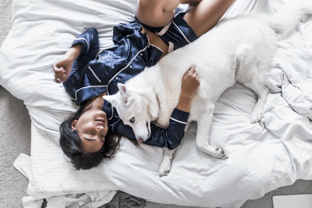 ¿Es bueno que tu mascota duerma en la cama contigo?