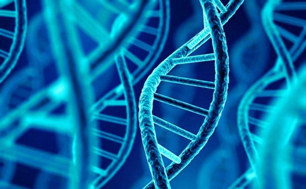 Células humanas pueden convertir secuencias de ARN en ADN