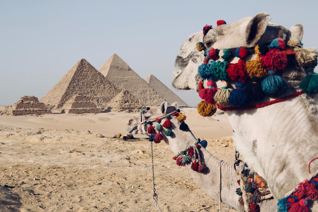 ¿Qué es lo que debes conocer en Egipto?