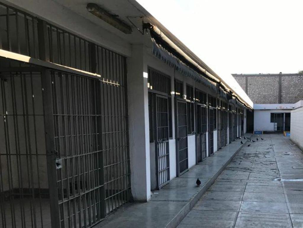 La policía de Torreón detiene a un hombre por robo a casa-habitación en la colonia Navarro