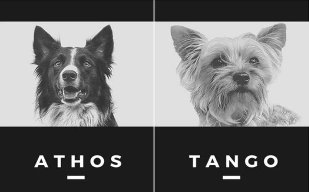 Presunto responsable de envenenar a perros rescatistas Athos y Tango es detenido en Querétaro