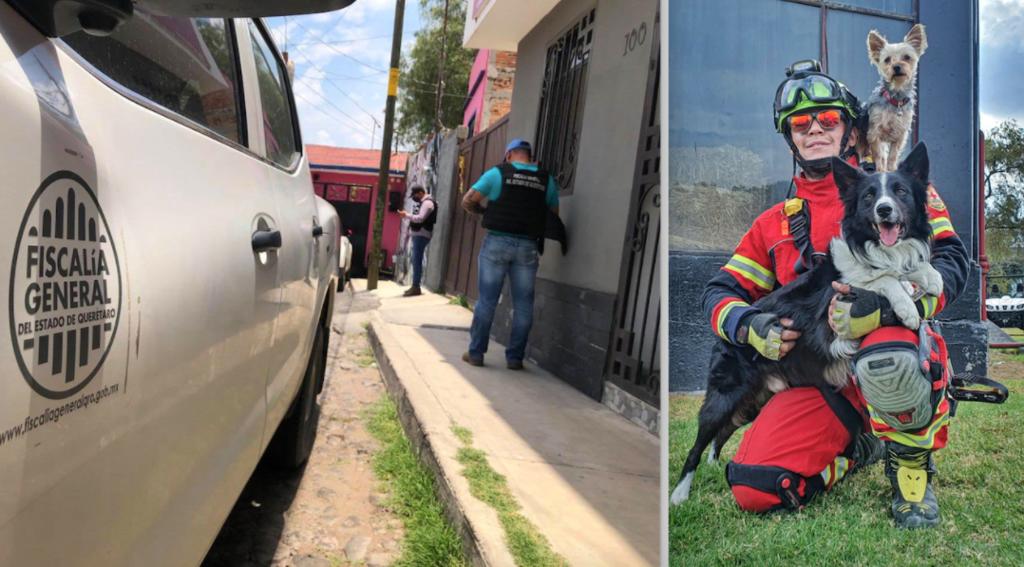 Presunto envenenador de perros rescatistas en Querétaro seguirá proceso en libertad