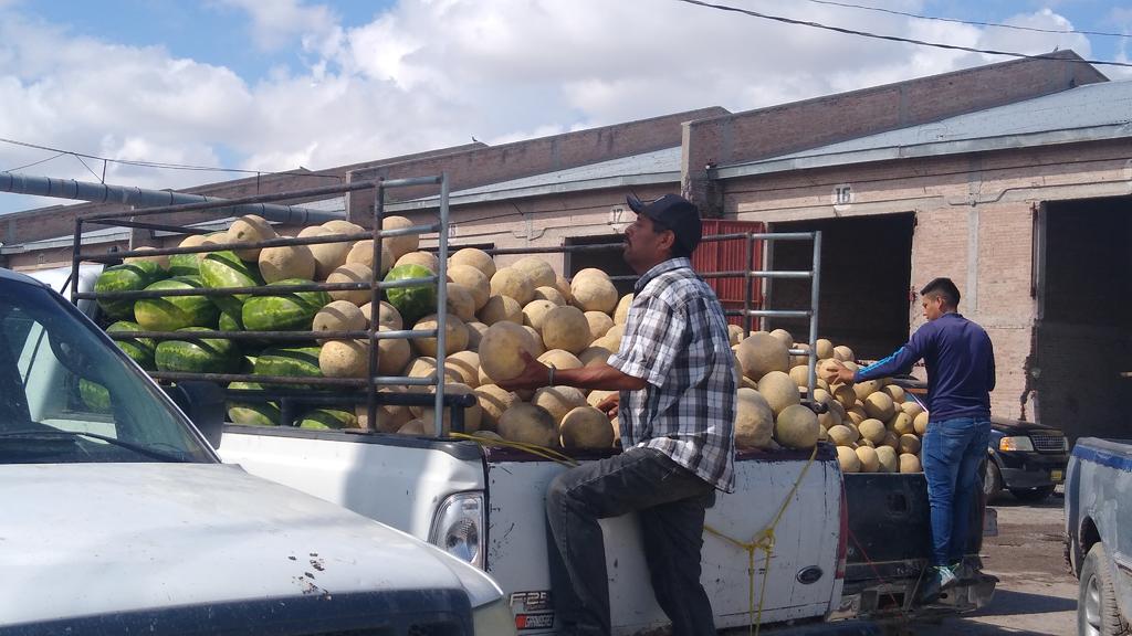 No hay mercado para meloneros de San Pedro; registran pérdidas importantes