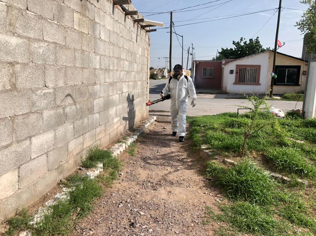 Dirección de Salud intensifica acciones en colonias de Torreón para prevenir dengue y rickettsia