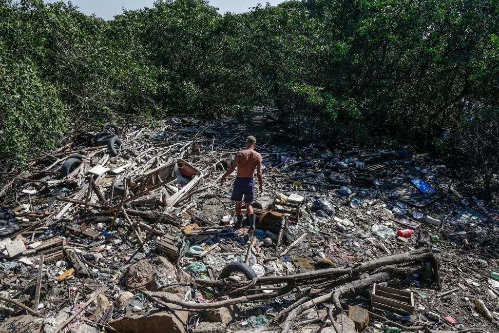 En jaque, la seguridad climática del planeta por la destrucción de la Amazonía