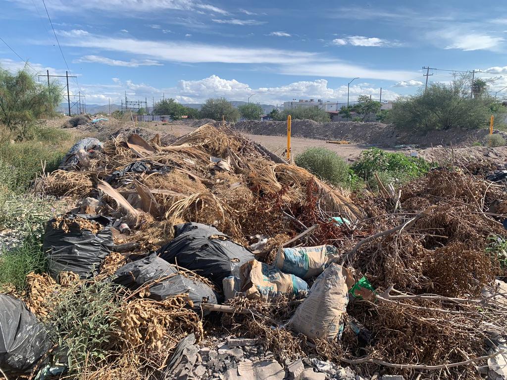 Desechos 'llenan' terrenos de colonia Arboledas de Torreón