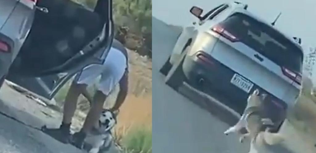 Hombre abandona a su perro Husky y es arrestado por la policía
