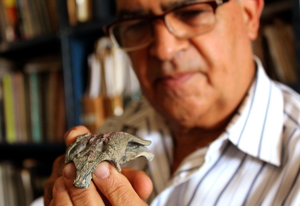 Investigadores hallan en la Patagonia chilena al 'abuelo' de los cocodrilos modernos