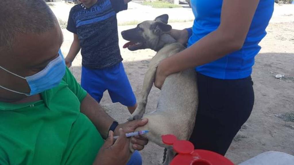 Lerdo lanza campaña de vacunación antirrábicas y desparasitación de mascotas