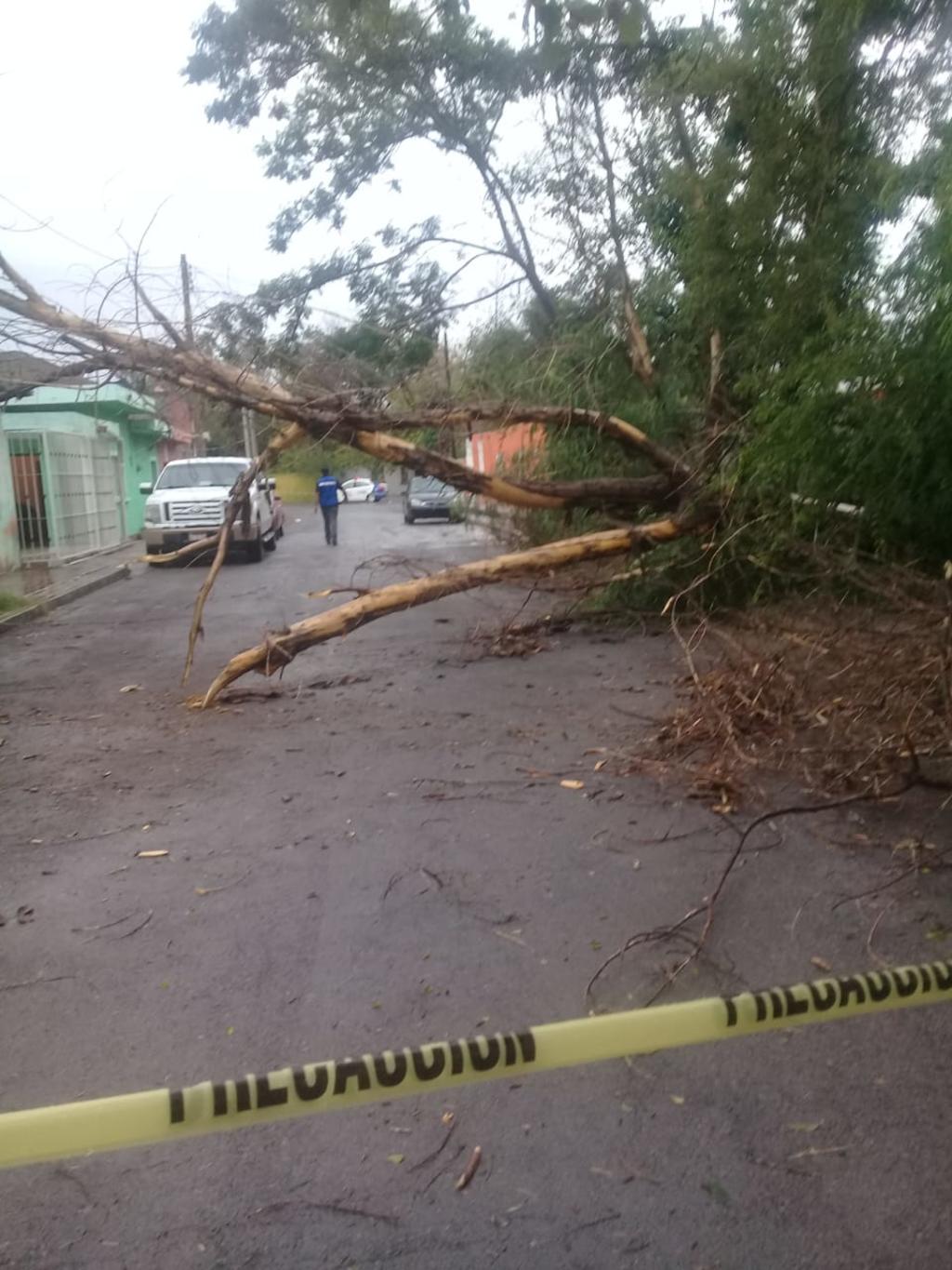 Solo daños mínimos se registraron a causa de la lluvia en Monclova