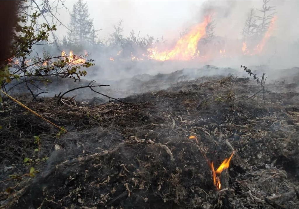 Siberia evacua aldeas debido a incendios forestales