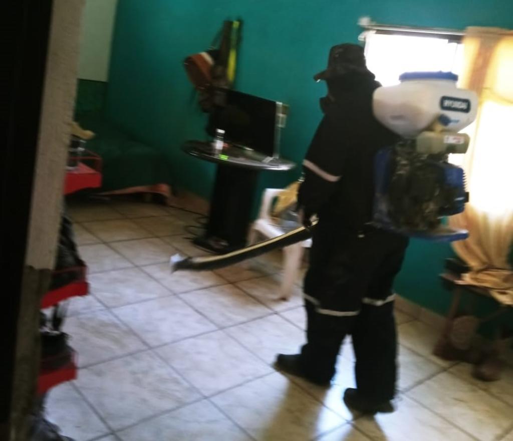 Presencia de garrapatas es detectada en domicilios de Matamoros