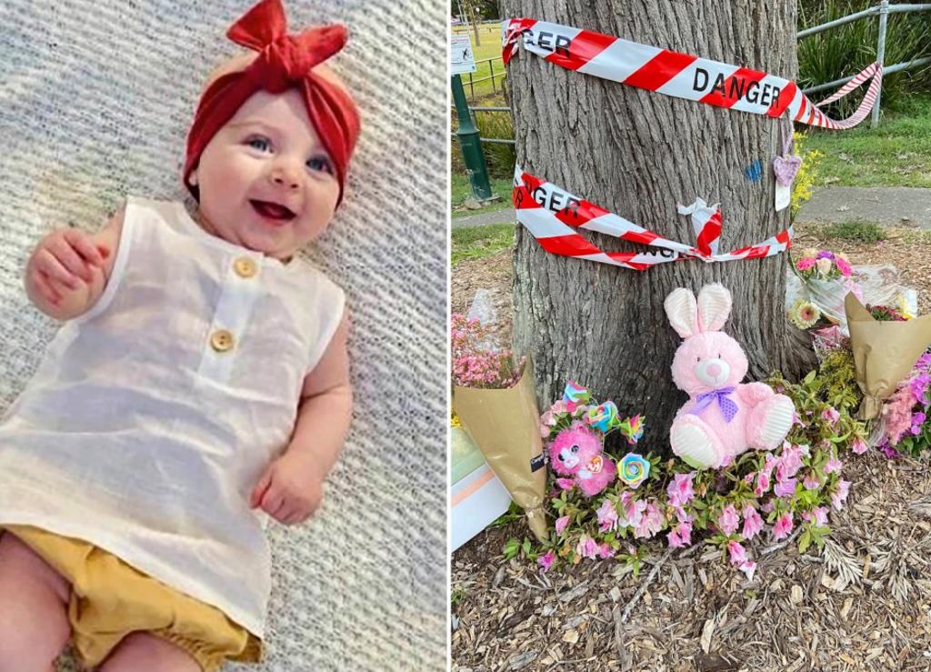 Bebé de 5 meses pierde la vida en extraño ataque de urracas en Australia