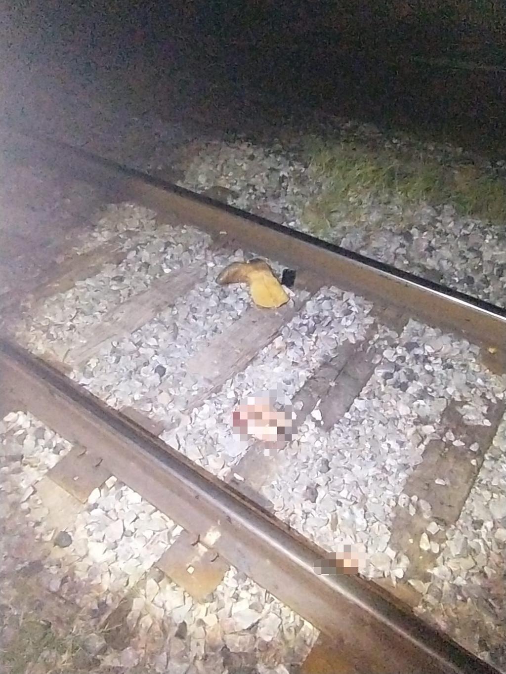 Adulto mayor muere arrollado por el tren en Madero