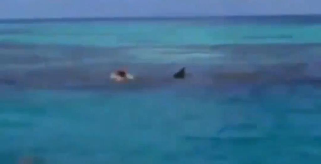 Mujer de Cuba señala que hombre devorado por tiburón en Yucatán sería su esposo