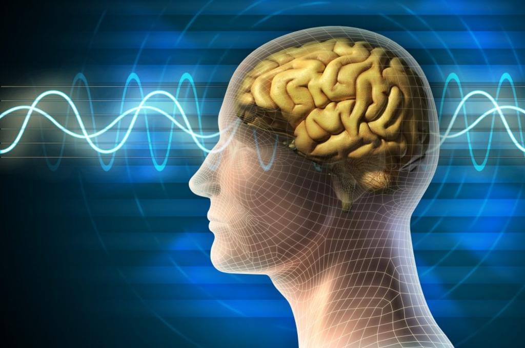 Estudio señala que las palabras y los sonidos se procesan por separado en el cerebro