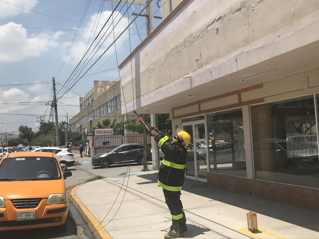 Tráiler derriba cables de negocios frente al Hospital Universitario de Torreón