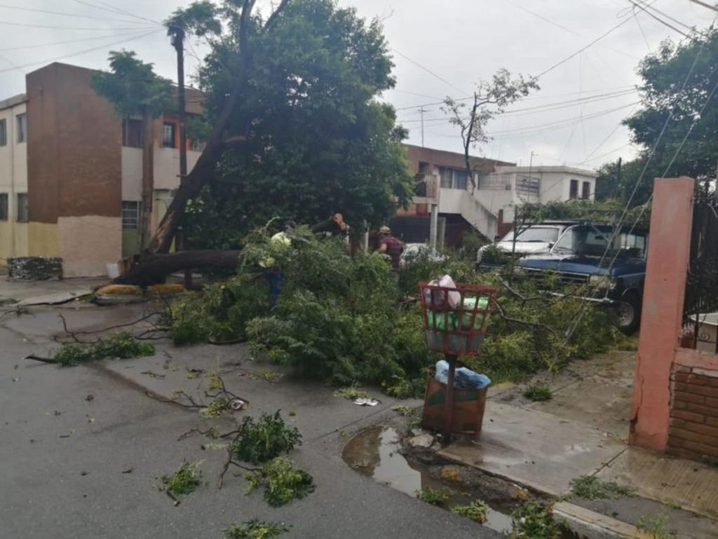Municipio atiende vehículos varados y con fallas tras lluvias en Saltillo