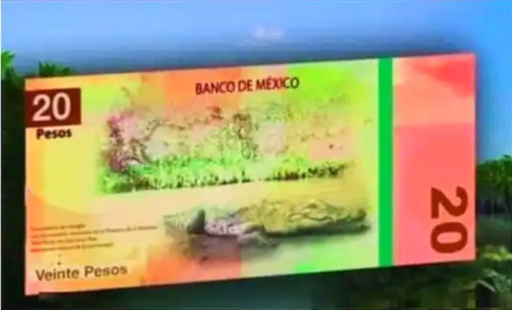 Banxico alista circulación de nuevos billetes de 20 y 50 pesos