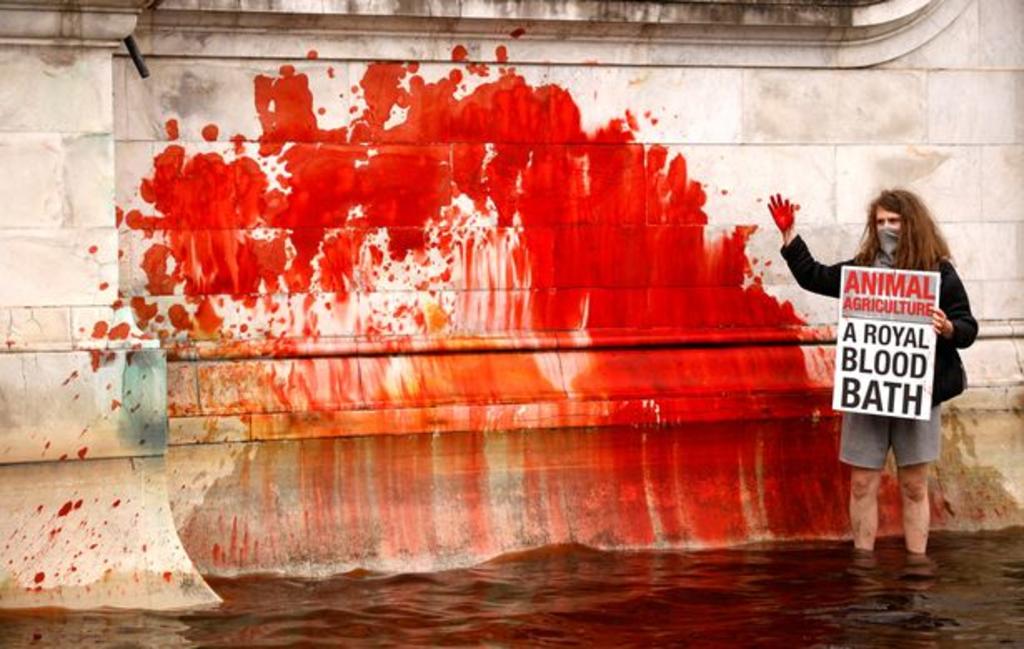 Animalistas tiñen de rojo la fuente del palacio de Buckingham en Londres
