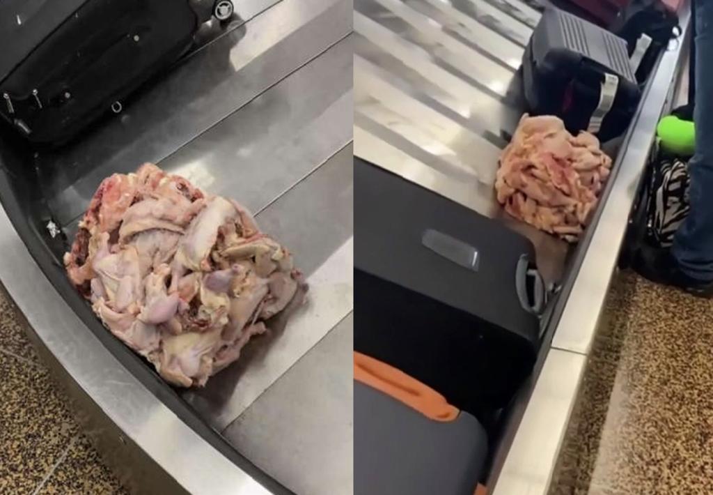 Pollo crudo como ‘maleta de equipaje’ genera desconcierto en aeropuerto de Seattle