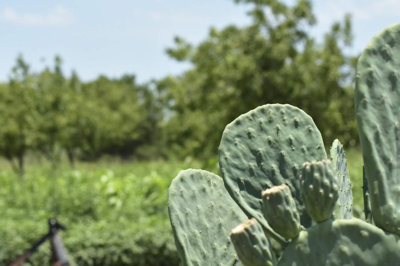 Ecologistas cortan el agua a ejidatarios de Ciudad Frontera