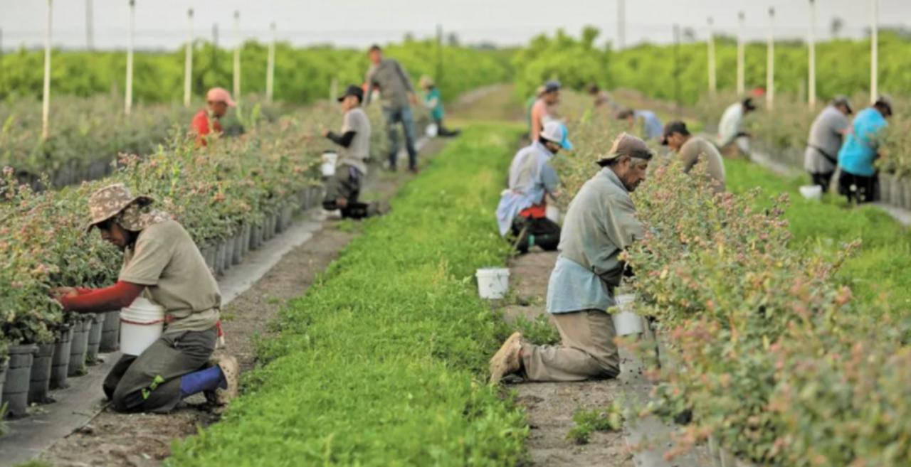 Los gobiernos de México y Estados Unidos renuevan instrumentos de colaboración en materia laboral