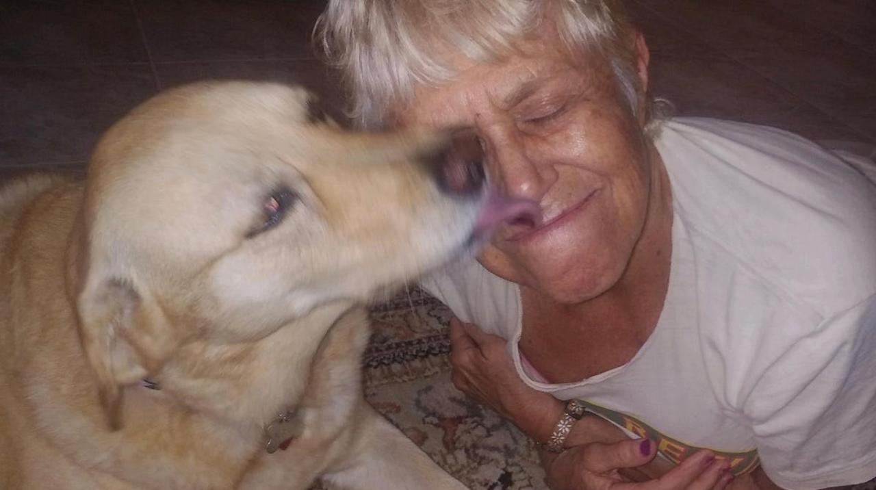 Mujer de 74 años salva a su perro de morir devorado por caimán de casi dos metros