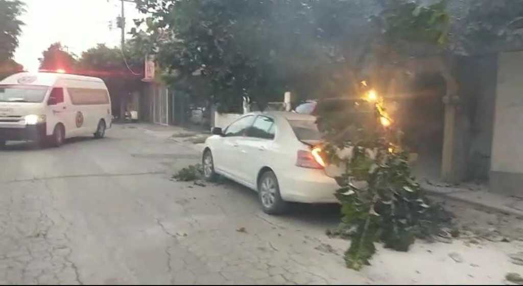 Tolvaneras dejan daños en la ciudad de Torreón