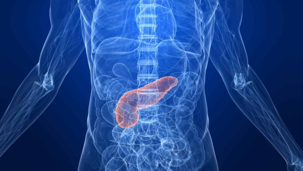 Investigadores desarrollan un nueva forma de hacer crecer organoides pancreáticos