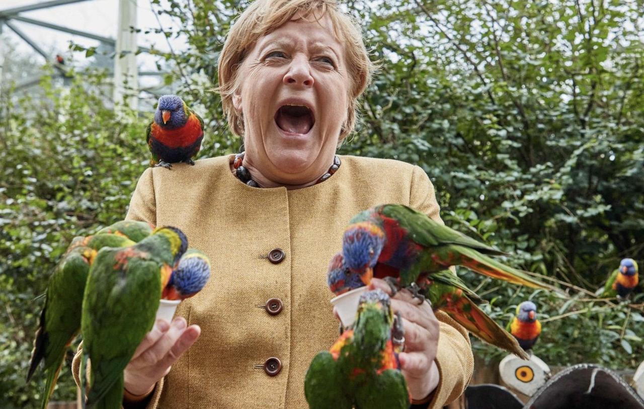 Angela Merkel protagoniza 'cómica' escena al ser picada por un loro