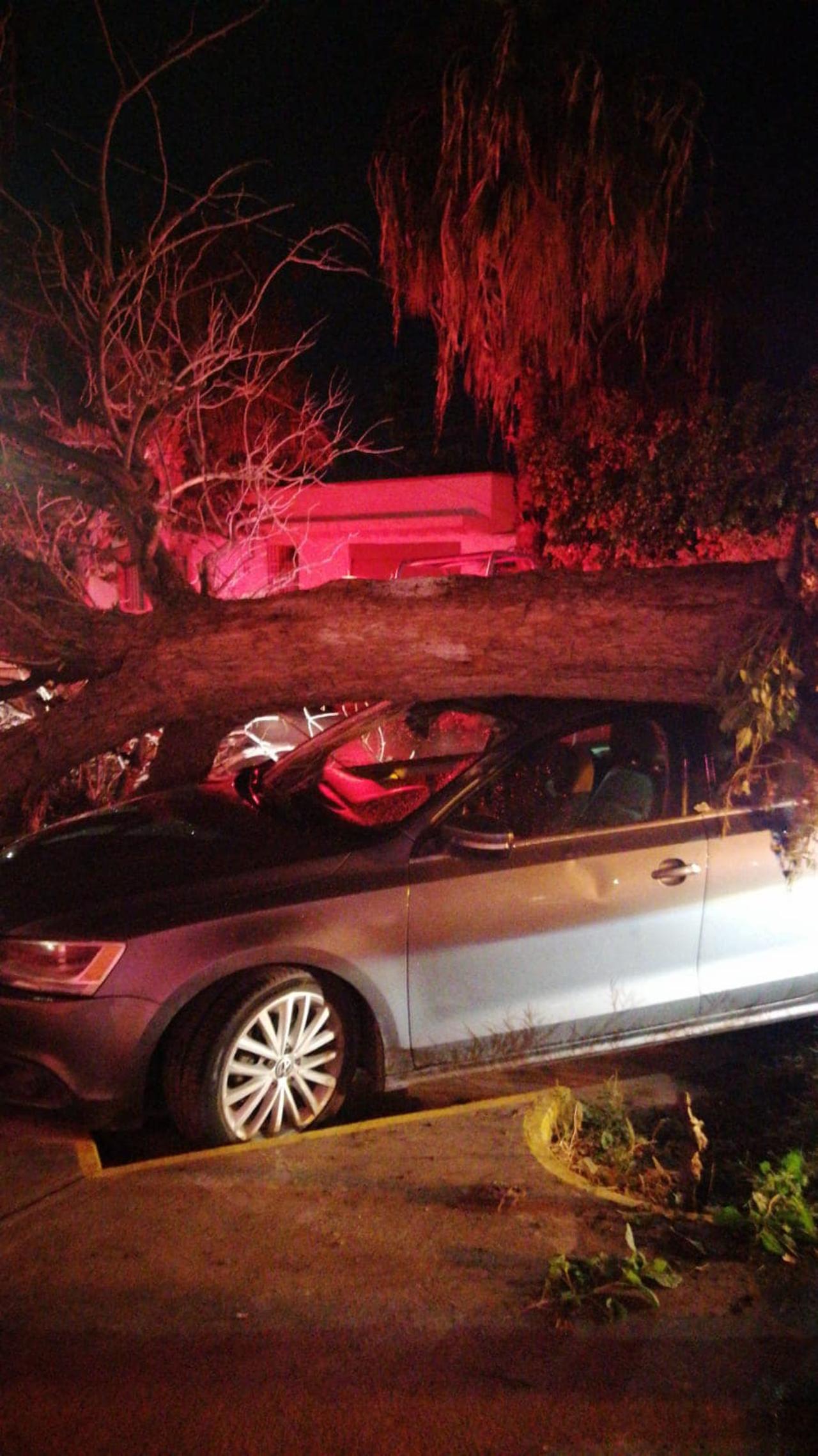 Ráfagas de viento destruyen coche en el centro de Torreón