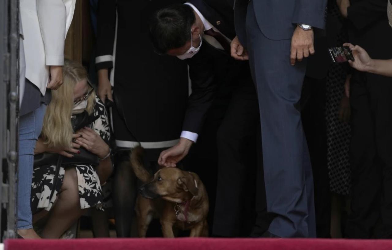 'Peanut', el perrito de premier griego interrumpe durante conferencia de prensa