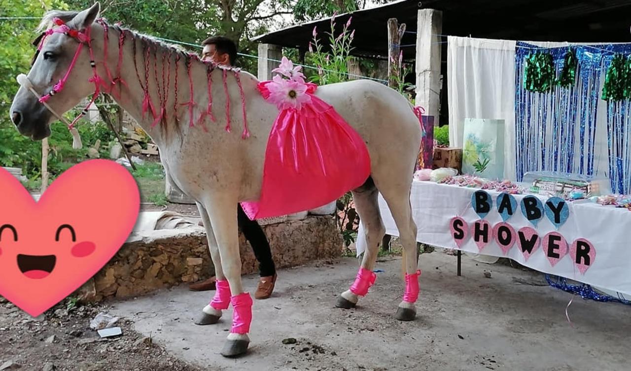 'Te amo como si fueras nuestra hija'; celebran baby shower de una Yegua en Yucatán