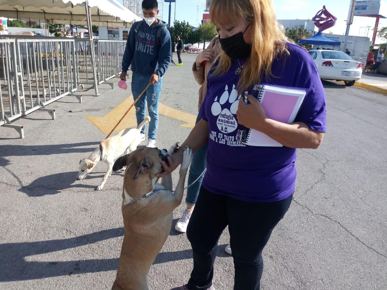 Asociaciones activan programa para esterilización y adopción de mascotas en Torreón