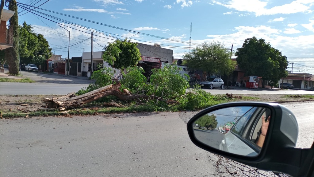 Conductora sufre desmayo y se sube al camellón en Torreón